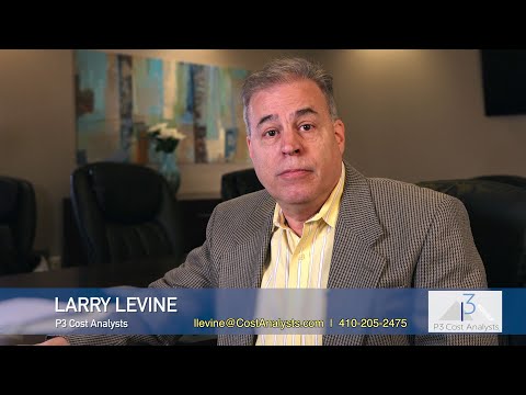 YouTube: 2022 P3 Cost Analysts with Larry Levine - Saving Businesses Money on Your Monthly or Annual Expenses preview