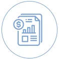 , Auditing Process