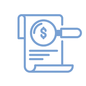 , Auditing Process