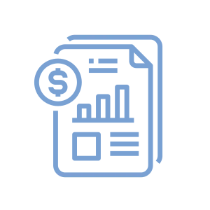, Auditing Process