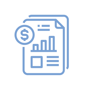 , Auditing Process