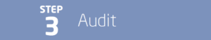 Utility Cost Auditing, Utility Auditing