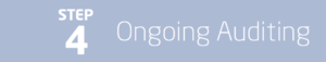 Utility Cost Auditing, Utility Auditing
