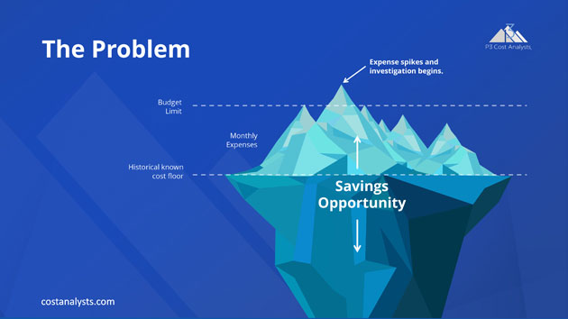 Expense consulting infographic